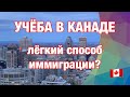 Что нужно знать об иммиграции в Канаду через обучение