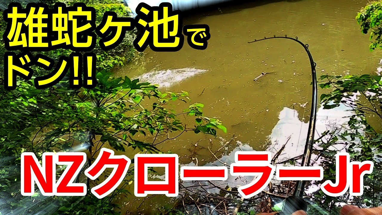 羽根モノで2フィッシュ／NZクローラーJrでハメる！雄蛇ヶ池での有効な