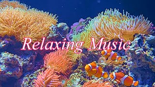 Музика для відпочинку.  Музыка для отдыха.  Relaxing Music