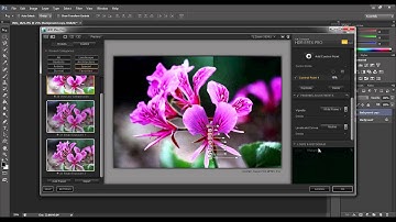 HDR Efex Pro Tutorial
