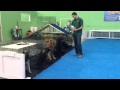 Crate Training - Miami's Certified Dog Trainers - Boarding and Training Crate Training - Miami's Certified Dog Trainers - Boarding and Training