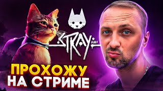 ИГРАЮ  ЗА ГАРАЖИКА В Stray ЧАСТЬ №1 / ZUBAREFFF / НАРЕЗКА / ЛЮБЛЮ КОТИКОВ