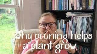 Why Tip Pruning Helps a Plant Grow