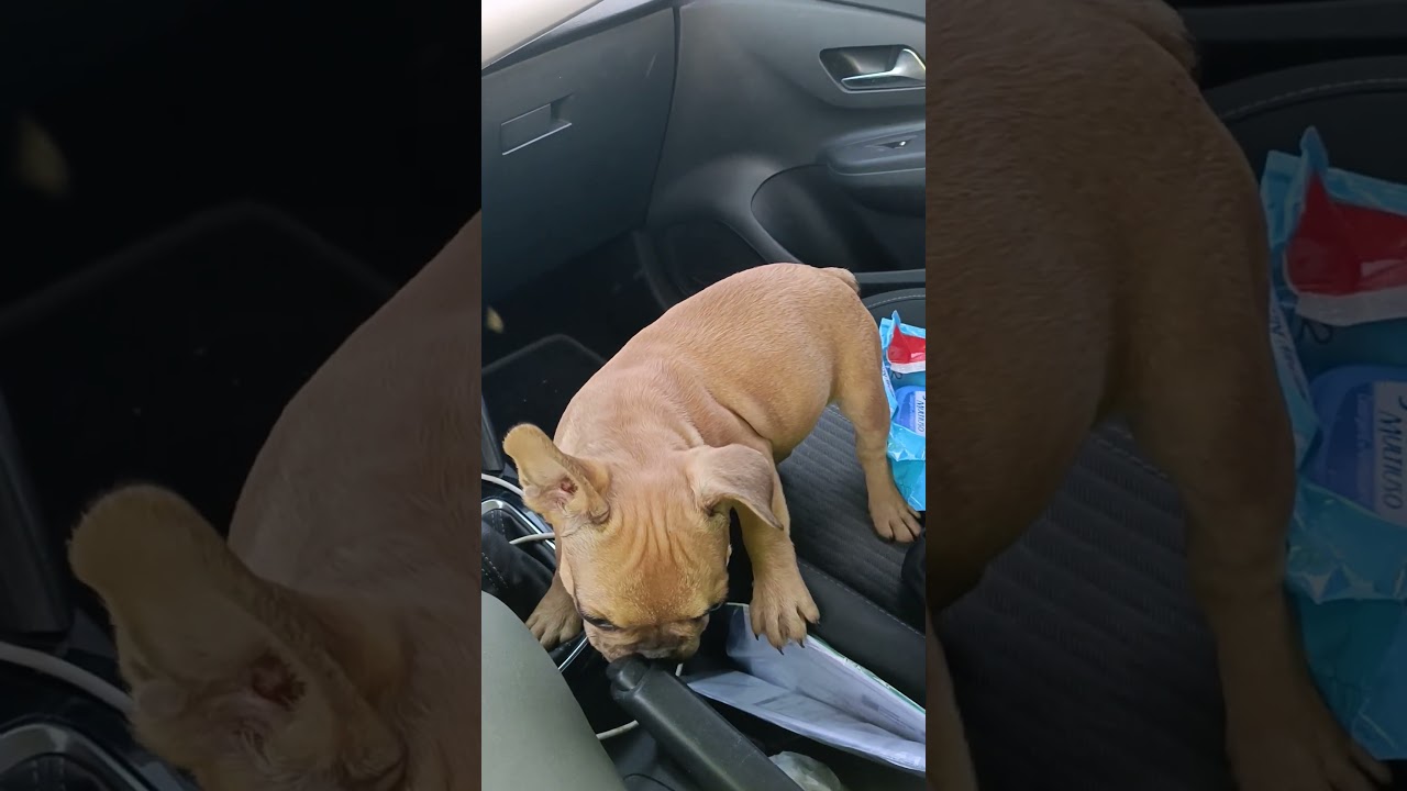 Sezione escursioni immobiliare presso il Tribunale di Catania