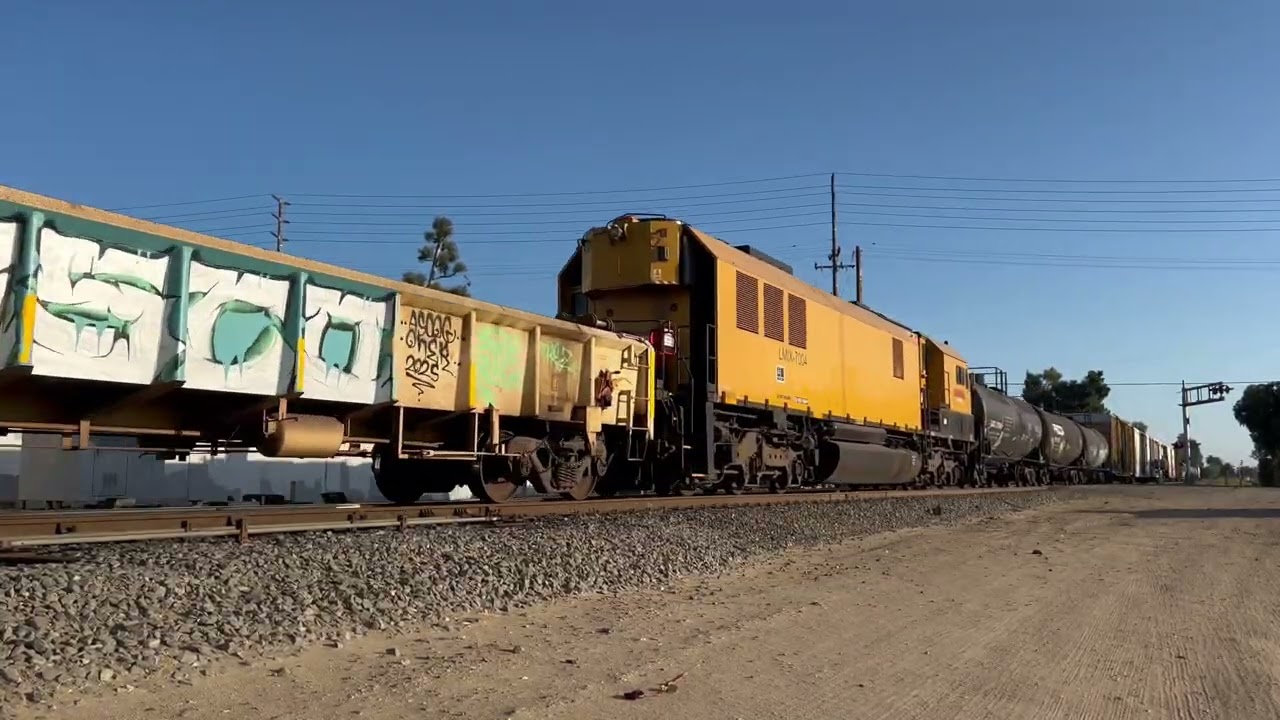 Leesedale Local, Oxnard Local, and Guadalupe Hauler Catches in Camarillo and Oxnard August 2025