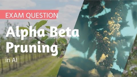 Alpha-Beta Pruning in Hindi Artificial Intelligence AI