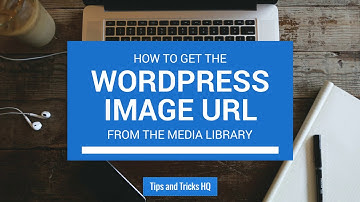 How to Get the Image URL from the Media Library