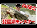 【史上最高】琵琶湖のモンスター級ブラックバスが釣れました！#shorts