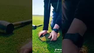 Fixing A Dried Lawn Simple Transformation You Can Do Too