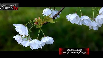 فديو HD مختارات 5 القارئ محمد اللحيدان I قناة سلطان العواد