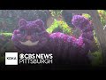 Alice in Wonderland-themed flower show takes Phipps visitors down the rabbit hole