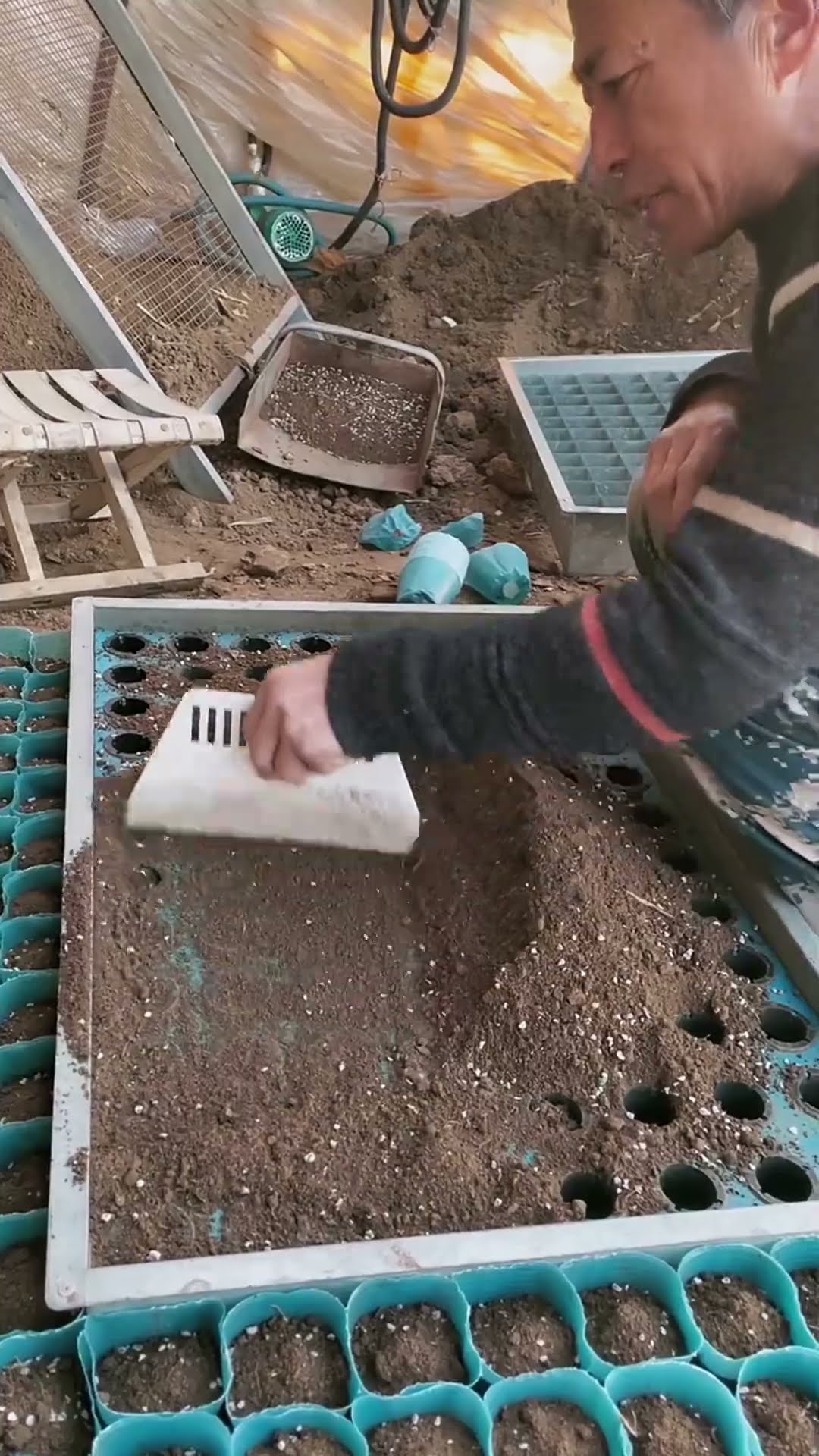 Seedling cultivation process- Good tools and machinery make work easy