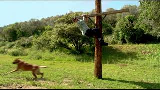 Jackass 3D|Johnny Knoxville|Bad Dog