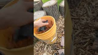 How I Make Charcoal for my Forge