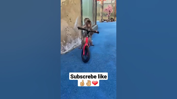 monyet lucu pintar  naik sepeda/smart monkey rider #viralvideo #funny #shortvideo