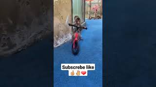 monyet lucu pintar  naik sepeda/smart monkey rider a bicycle/subscribe#shoes#viral
