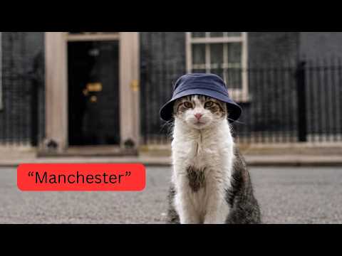 Video Larry, The Downing Street Cat - Manchester
