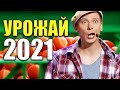 Урожай в деревне 2021! Как проходят деревенские будни в конце лета? Жизнь в деревне. Юмор 2021