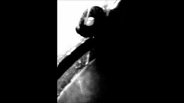 DMITRI SHOSTAKOVICH - STRING QUARTET No.9 in E flat major Op.117. ADAGIO.