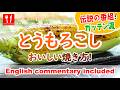動画:焼きとうもろこしの作り方|魚焼きグリルで屋台風 – Grilled Corn (Street Style)