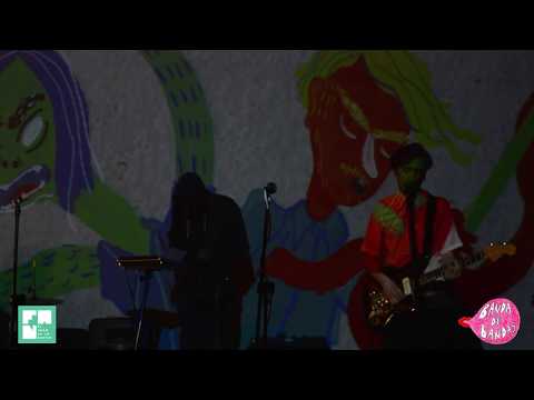 Felix - Expediciones nocturnas