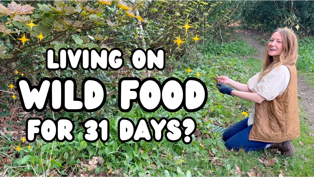 Prepping to live on Wild Food for a month | The Wildbiome Project 2.0