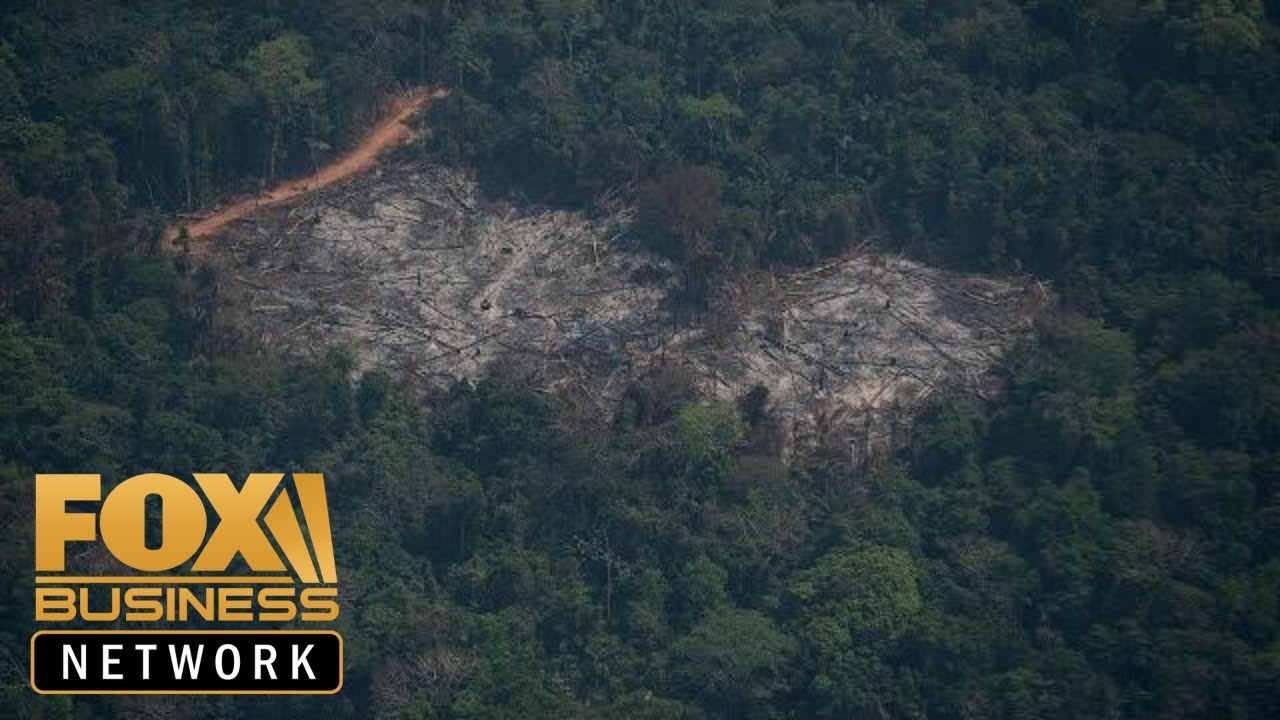 Bolsonaro changes tone, will accept foreign aid to fight Amazon fires