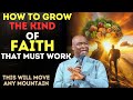 This kind of faith will move any mountain how to grow a faith that works apostle joshua selman