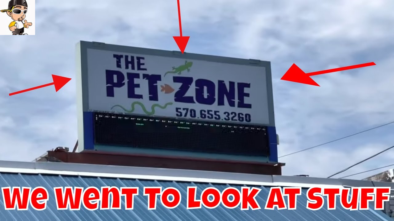 Trip To The Pet Zone In Pittston PA YouTube