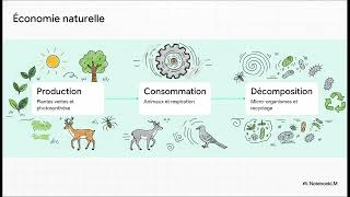 Le Macroscope Vers Une Vision Globale De Rosnay