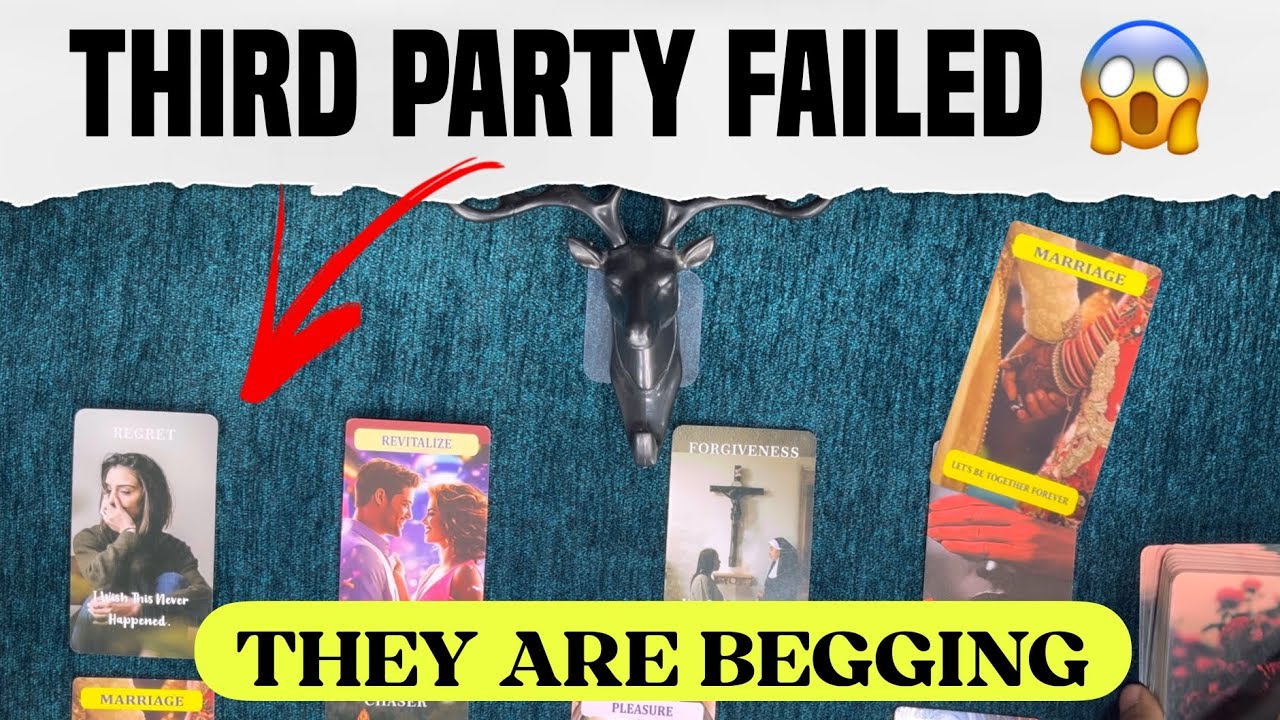 Они наконец-то увидели правду! 🐍 Третья сторона разоблачена, и теперь они тонут в сожалении...🕯️ ...