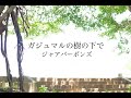 【ガジュマルの樹の下で】 MV / ジャアバーボンズ(JaaBourBonz)