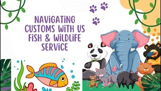 Navigating Customs with US Fish & Wildlife Service