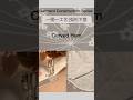 One Technique, One Detail | Sewing a Curved Hem Using Fusible Stay Tape#sewingtutorial #sewing