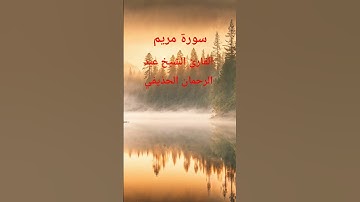 القرآن الكريم #اكسبلور #المصحف #تلاوات_رائعة #لايك