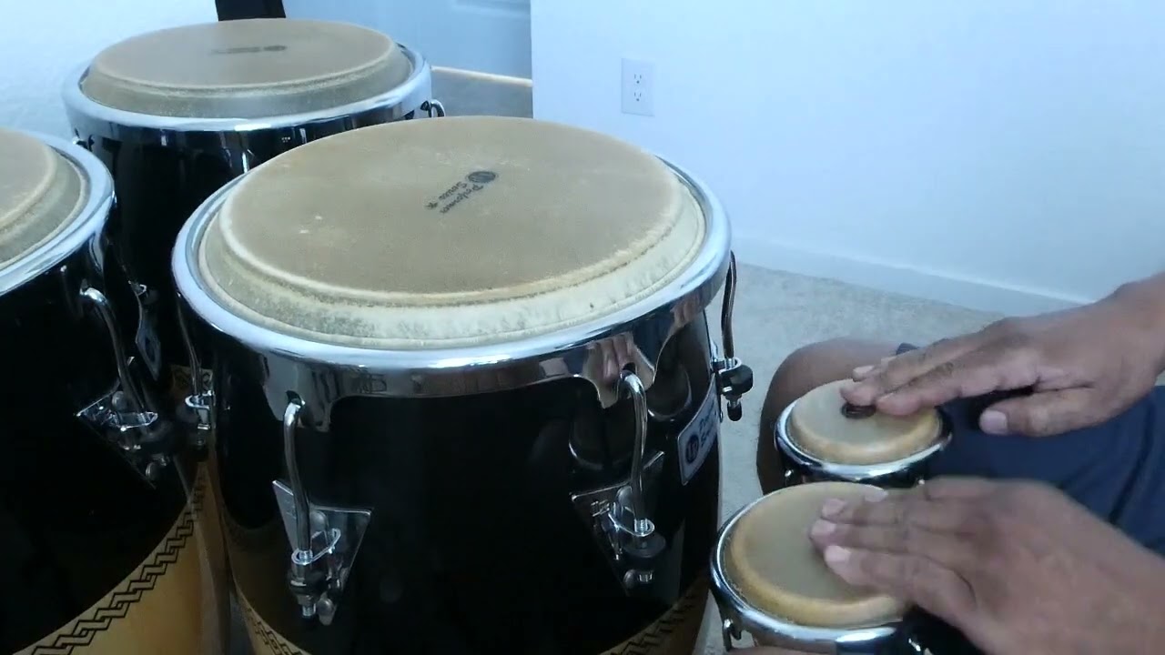 The sounds of Nature! Sunflower13