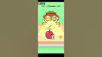 Hide And Seek : Cat 🐈 Escape Game | Level-1038 | Satisfying Gameplay #games #shorts #hideandseek