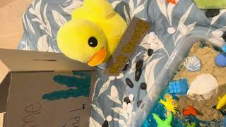 Gwyneth - Assignment 3 (Video 1)