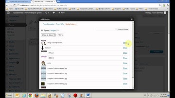 Cómo colocar una imagen en el Widget Text de Wordpress.