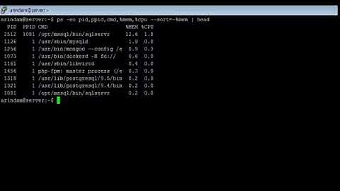 Linux - ps Command - w3resource