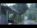 Walking under the pouring rain in an indonesian villagevery cool and calmingfor insomnia