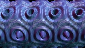 3d Stereogram Animation 3dw090815