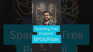 BPDU Filter Explained  #ccna  #cisconetworking  #itcertifications #networking #networkengineer