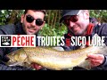 Session truite avec sico lure 