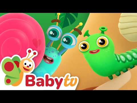 The Cocoon Secret | How a Caterpillar Becomes a Butterfly | BabyTV