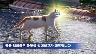 꽁꽁 얼어붙은 불통을 함께학교가 깨뜨립니다 | 대담한정책