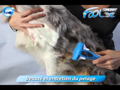 FoOlee Air : Brossez, Aspirez en 1 seul geste !