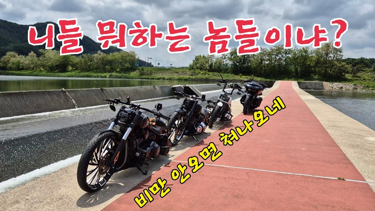 날씨 좋으니까..또 나왔냐?