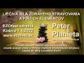 Peter Planieta - Liečivá sila zdravého stravovania a piatich elementov (EZOfest zdravia Košice 2022)