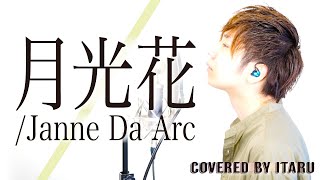 月光花 Janne Da Arc アニメ ブラック ジャック Op By イノイタル Itaru Ino 歌詞付きfull Youtube